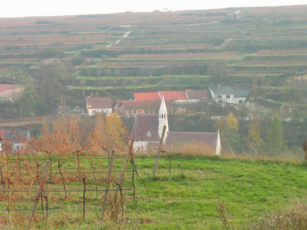 Landschaftsaufnahme mit der Nikolauskirche
In der späten Dämmerung von einem Weinberg aus aufgenommen zeigt das Photo die Nikolaus Kirche und auf den Hügel direkt dahinter der Baumgartner Heurigen