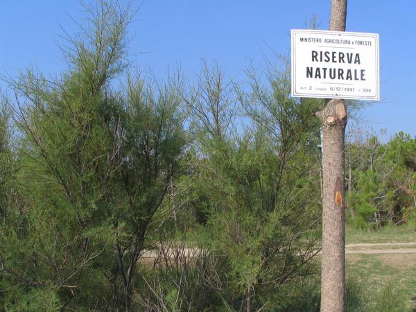 Naturschutzgebiet in Italien nahe Ravenna
Leider sind Mücken auch unter Naturschutz, weil Mücken die Nahrung für zahlreiche andere Tiere darstellen. Aber  solange der Wind weht können die Mücken nicht zum Strand fliegen.