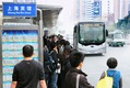 BYD electric bus 12